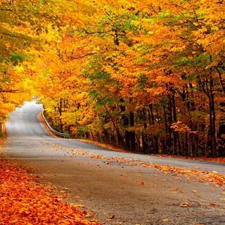 Autumn Switzerland wallpaper