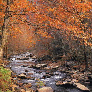 Autumn scene wallpaper