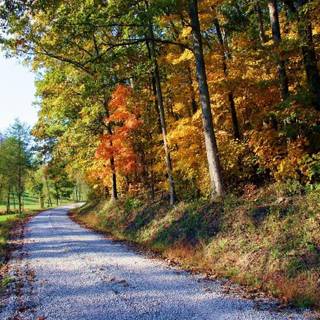 Autumn scene wallpaper