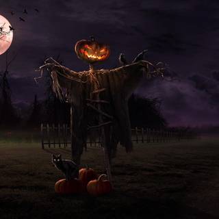 Halloween night wallpaper