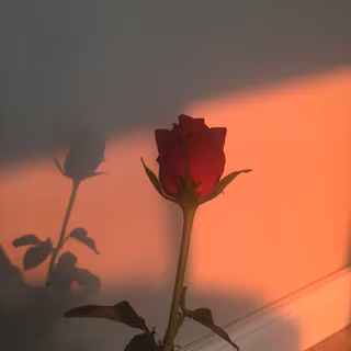 Girl flower aesthetic wallpaper