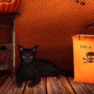 Trick or Treat Halloween wallpaper