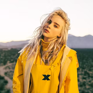 Picture Billie Eilish HD wallpaper