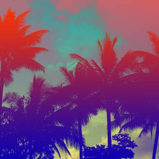 Blue palms wallpaper