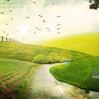 Adam Young wallpaper