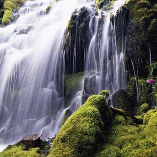 Hidden waterfalls wallpaper