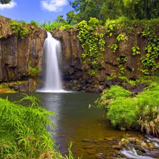 Hidden waterfalls wallpaper