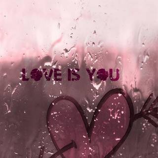 Camera lover wallpaper