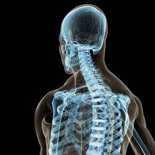 Chiropractor wallpaper