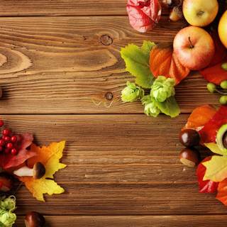 Autumn berries wallpaper