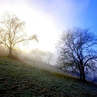 Misty morning wallpaper