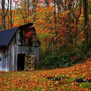 Autumn in countryside wallpaper