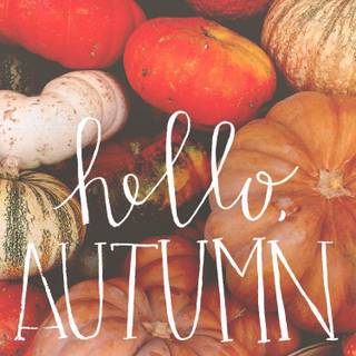 Autumn October happy Halloween pumpkin 2019 wallpaper