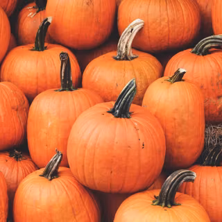 Autumn October happy Halloween pumpkin 2019 wallpaper