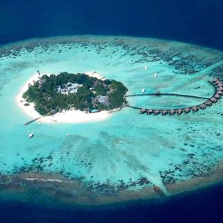 Reef Island wallpaper