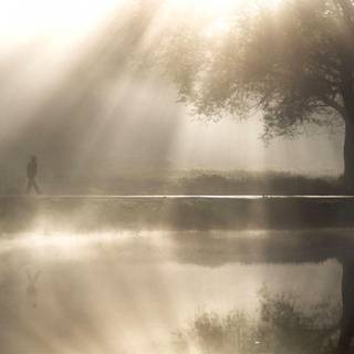 Morning mist wallpaper