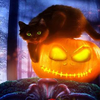 Kawaii Black Cat Halloween wallpaper