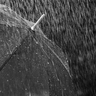 Rain photography wallpaper