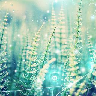 Aesthetic green PC wallpaper