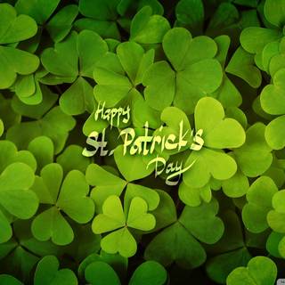 Patrick Day wallpaper