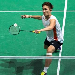 Kento Momota wallpaper