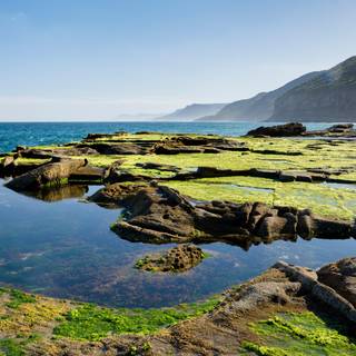 Wilderness playground wallpaper