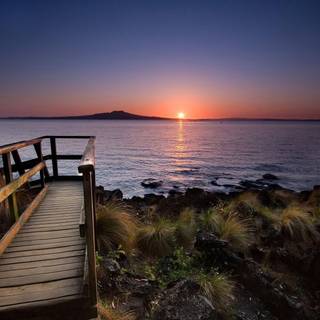 Wooden walkway wallpaper