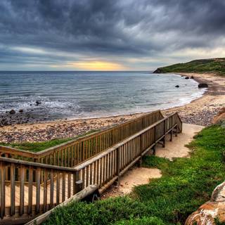 Wooden walkway wallpaper