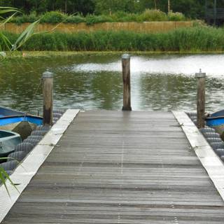 Wooden walkway wallpaper