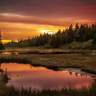 Autumn sunset wallpaper