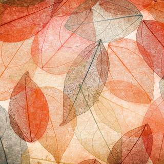 Abstract transparent wallpaper