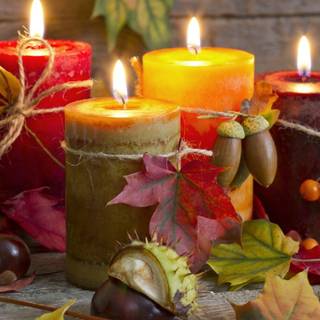 Autumn still life wallpaper