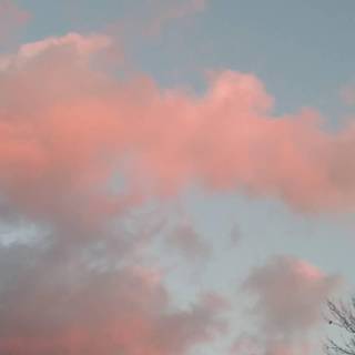 Cotton candy sky wallpaper