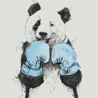 Panda Supreme wallpaper