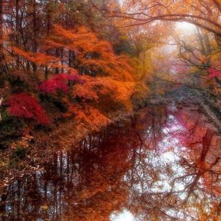 Autumn tranquility wallpaper