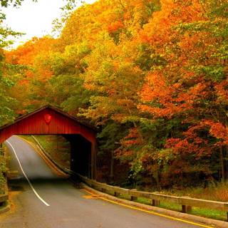 Covered bridge in autumn wallpaper