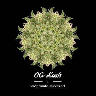 Kush logo wallpaper