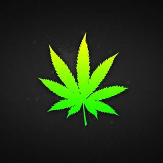 Kush logo wallpaper