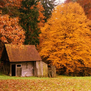 Autumn cottage wallpaper
