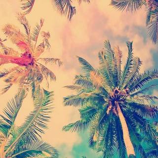 Retro beach art wallpaper