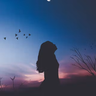 Aesthetic Silhouette wallpaper