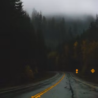 Rain forest tumblr wallpaper