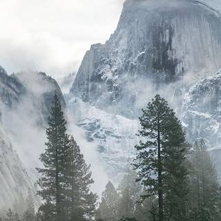 iPhone nature wallpaper