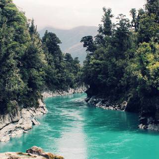 iPhone nature wallpaper