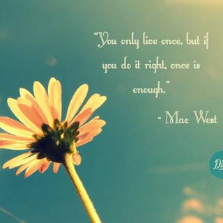 Phobia tumblr wallpaper