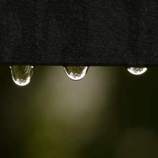 Surface tension water wallpaper