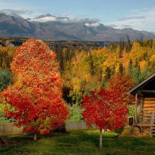 Cottage in autumn wallpaper