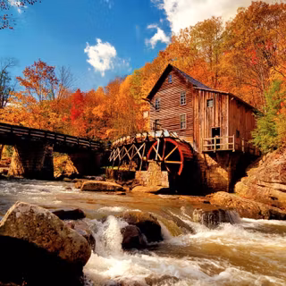 Forest mill wallpaper