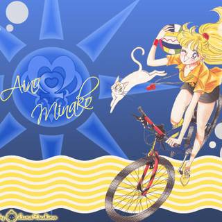Minako Aino wallpaper