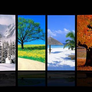 All seasons wallpaper